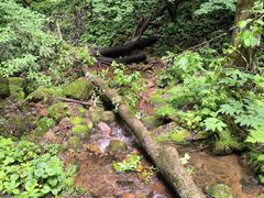 -五女峰国家森林公园