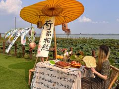 -七的湖·晚芳亭·阳澄湖农家菜·大闸蟹(莲花岛店)