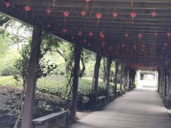 -白马涧龙池景区