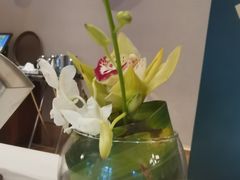 -丽晶美庐·玉兰餐厅