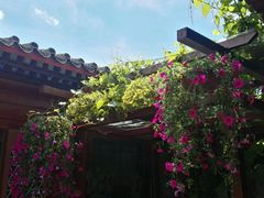 -百好乐宠物友好餐厅(朝外大街店)