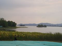-东湖落雁景区