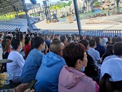 -渔岛海洋度假区