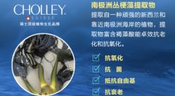 -东方美美容SPA会所