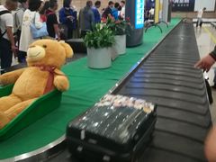 -上海浦东国际机场-T2航站楼