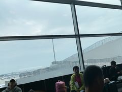 -约翰·菲茨杰拉德·肯尼迪国际机场