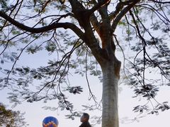 -中国科学院西双版纳热带植物园