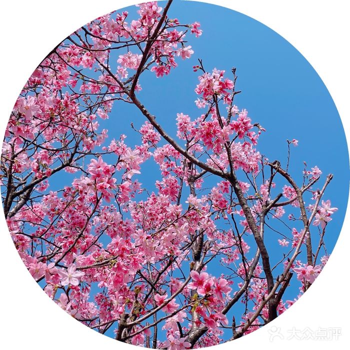 叱石风景区图片