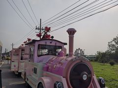 -金鸡湖桃花岛
