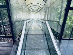 -七仙岭温泉国家森林公园