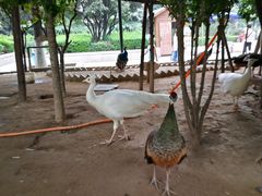 -陕西自然博物馆