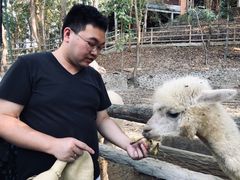 -清迈夜间动物园