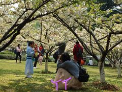 -白塘生态植物园