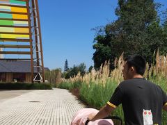 -中国天府农业博览园