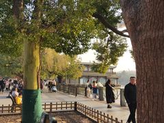 -西湖外事游船(湖滨二公园外事游船码头)