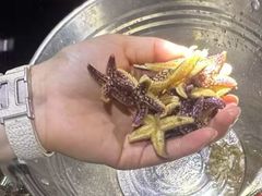 -巧克力渔家.小船海鲜胶东菜(万平口店)