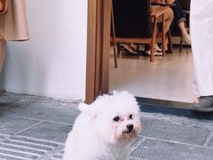 -流酥可心·牛乳蛋糕商店(禾祥西路店)
