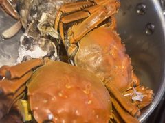 -半岛听涛蒸汽海鲜自助(K11店)