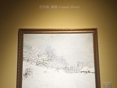 -印象莫奈时光映迹艺术展