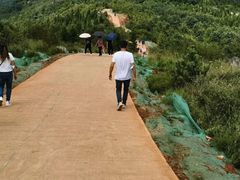-长虫山生态公园风景林