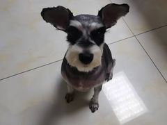 -宠福鑫康馨动物医院·骨科·眼科