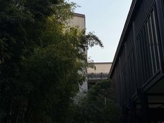-上海崇明金茂凯悦酒店