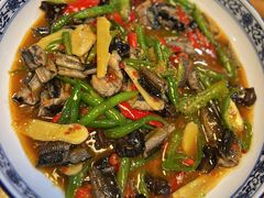 泡椒鳝鱼-青城甲(青城山店)