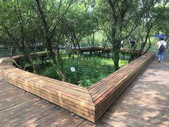 -西湖风景区-江洋畈生态公园