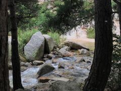 -无染寺