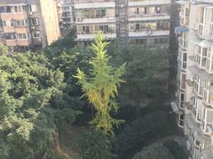 -白鹭湾湿地公园