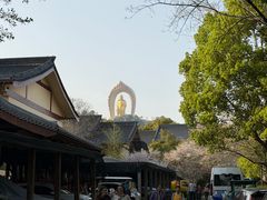 -庐山风景名胜区-东林大佛
