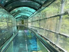 -海南槟榔谷黎苗文化旅游区