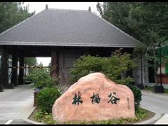 -林栖谷森林康养度假区