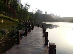 -重庆彩云湖湿地公园