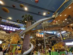 -卡通尼·Safari非洲探索乐园·生日会(金桥国际商业广场店)