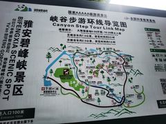 -中国大熊猫保护研究中心雅安碧峰峡基地