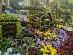 -杭州植物园