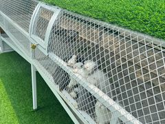 -潭柘厚院(桑峪村店)