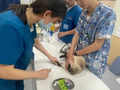 -康成宠物医院24H·CT·核磁共振