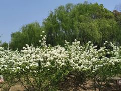 -苏州太湖国家湿地公园
