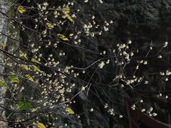 -东南悬空寺方广岩