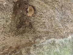 -长沙黑麋峰国家森林公园