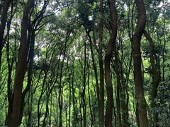 -忠山公园