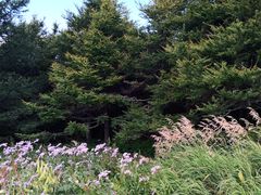 -白草畔自然风景区