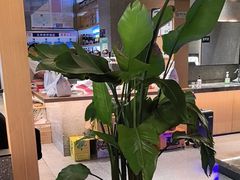 -杨氏青龙虾·羊蝎子(金盛路总店)