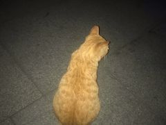 -無忧浅草君·洋风料理(下沙宝龙二期一店)