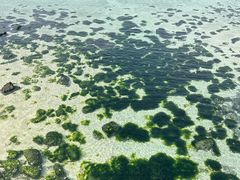 -咸德海水浴场