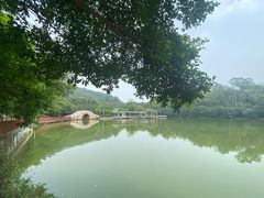 -大雁山风景区
