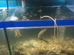-船梆煮•蒸汽海鲜·生腌干蒸(五四广场店)