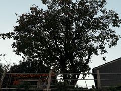 -溪口-滕头旅游景区